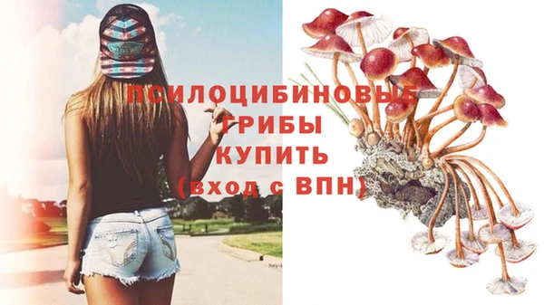 таблы Богородицк
