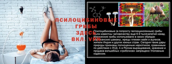 дживик Богданович