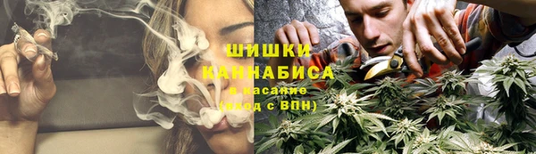 таблы Богородицк