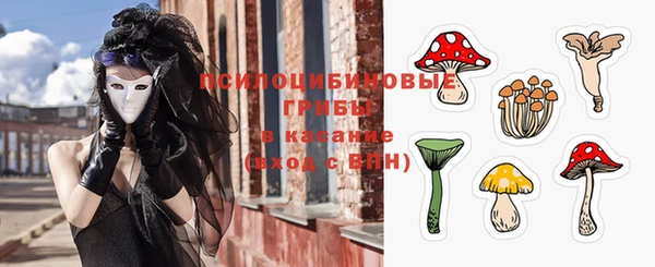 дживик Богданович