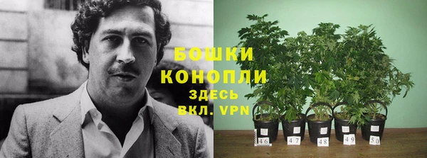 соль курить ск Богородск