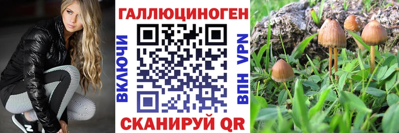 кракен онион продажа наркотиков Энем Псилоцибиновые грибы GOLDEN TEACHER